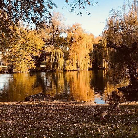 T3 + Veranda A Strasbourg Exteriör bild