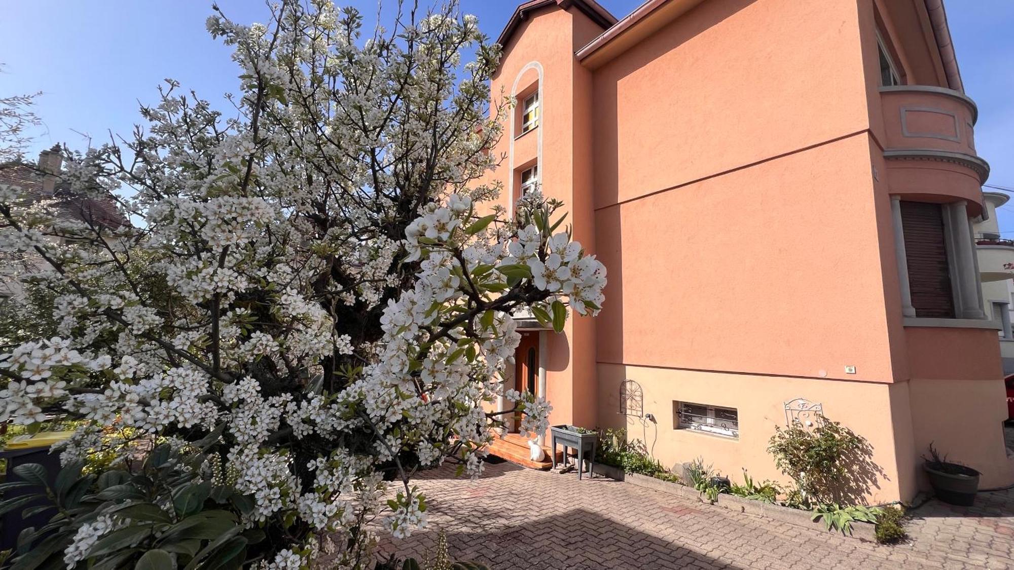 T3 + Veranda A Strasbourg Exteriör bild