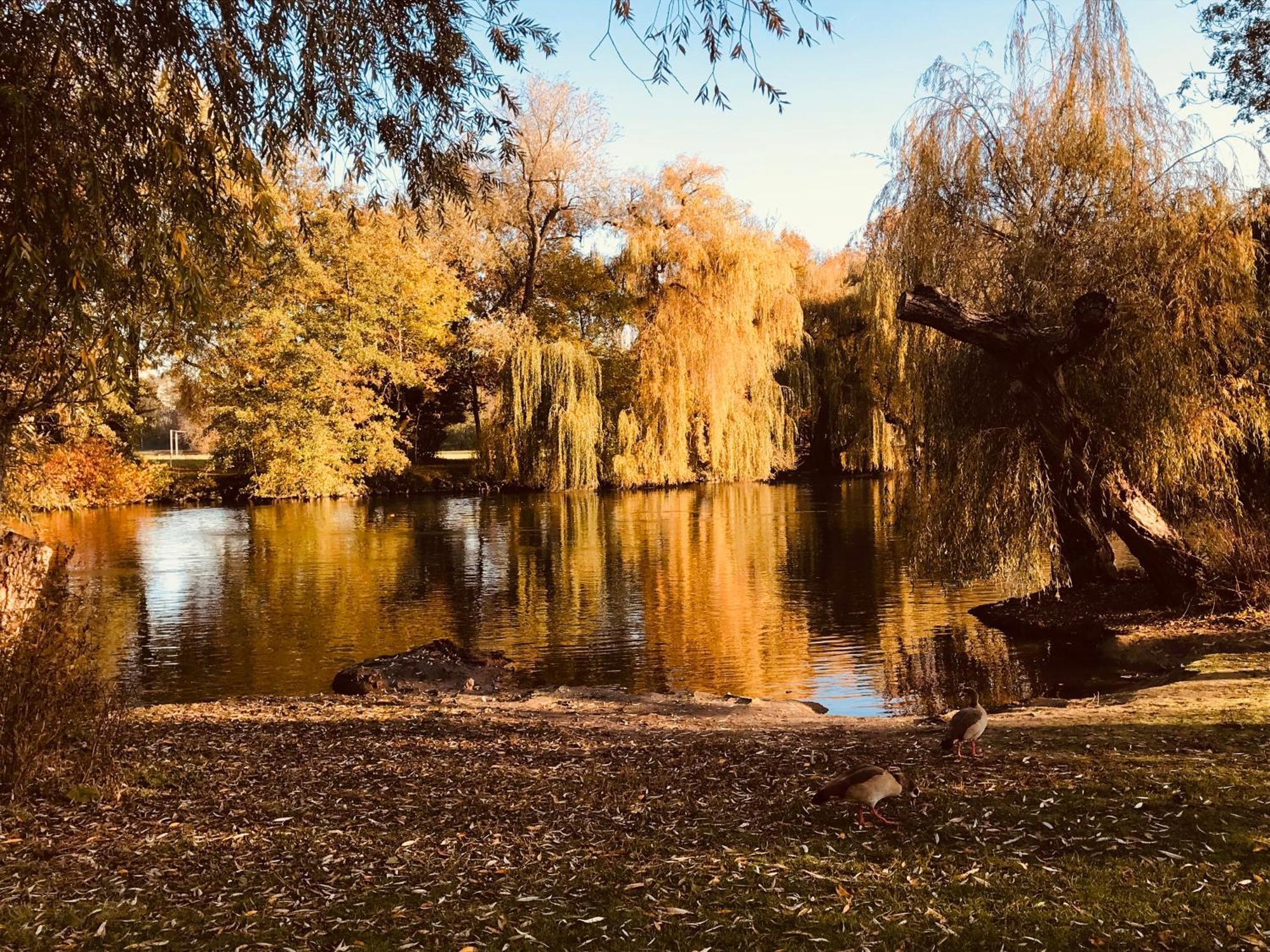 T3 + Veranda A Strasbourg Exteriör bild